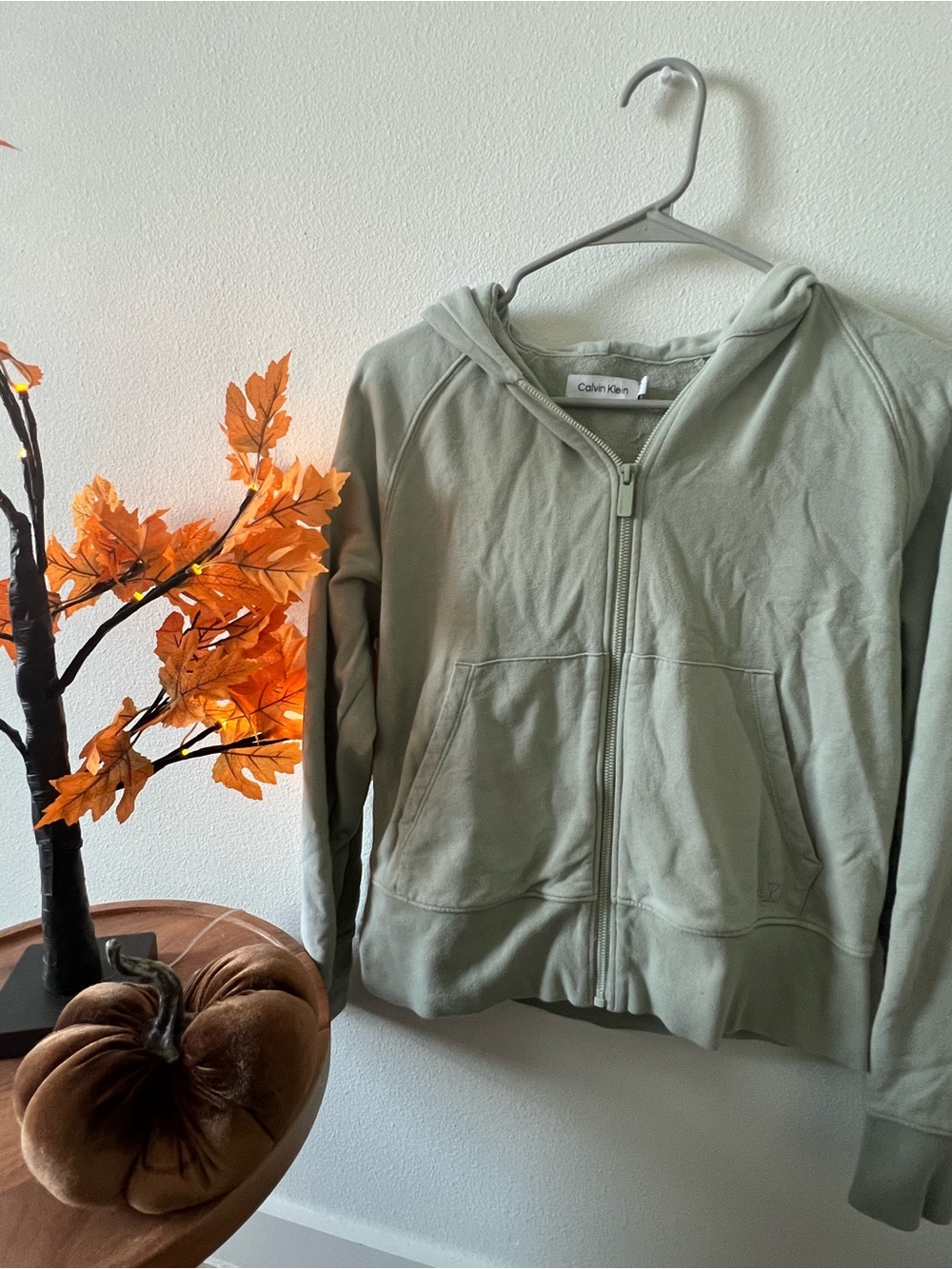 Calvin Klein Light Sage Zip Front Hoodie Jacket